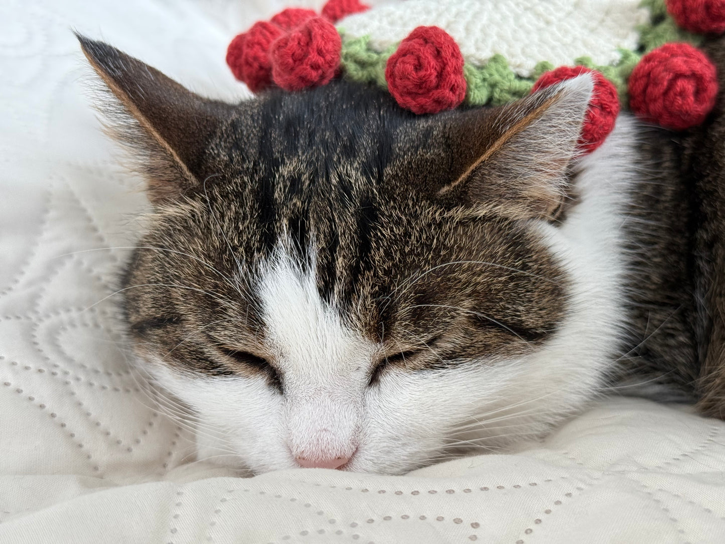 Käsintehty ROSA-virkattu kukkaalus, virkattu ruusukimppualustanko, kukkalautanen, lahja hänelle, äitienpäivälahja, ystävänpäivälahja